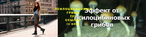 твердый Володарск
